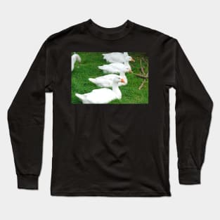 Geese In A Row Long Sleeve T-Shirt